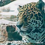 Artwork voor "Sleepless Night"