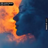 Portada para "More Life"