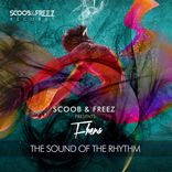 Artwork for "The Sound Of The Rhythm"