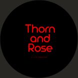 There Is No Money in Heaven (Searchin)