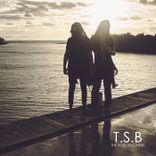 Artwork for "Talavera Records 17"