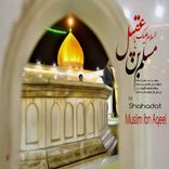 Artwork für "Shahadat Muslim Ibn Aqeel"