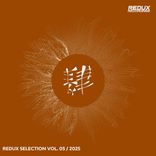 Artwork voor "Redux Selection, Vol. 3 / 2025"