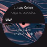 Artwork for "Organic Acoustics"