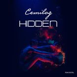 Artwork for "Hidden"