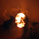 Portada para "Basis"