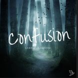 Portada para "Confusion"