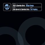 Artwork voor "Rompa Stompa"