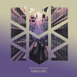 Artwork voor "Too Late"