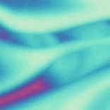 Dockers Find Everything