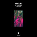 Portada para "Hypnotized (Rave Mixes)"