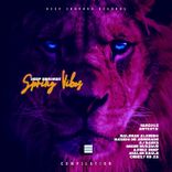 Artwork für "Deep Error56 Spring Vibes"