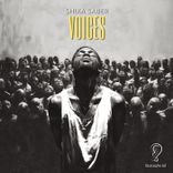 Artwork voor "Voices"