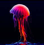 Lost Time Is Not Lost