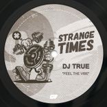 Artwork for "Feel the Vibe"