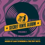Artwork für "Secret Vinyl Album, Vol. 5"