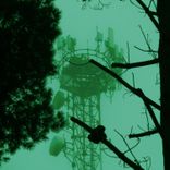 Artwork voor "The Jungle"