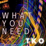 Artwork for "What You Need"