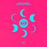 Artwork voor "Disoriented Feeling"