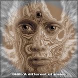 Portada para "A Different of Vision"