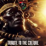 Artwork for "Tribute to the Culture"