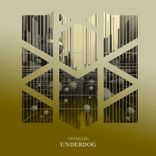 Artwork für "Underdog"