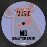 Artwork for "Dream Your Dream"