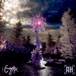 Artwork voor "ginger tea"