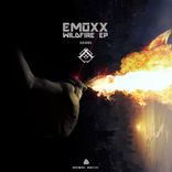 Artwork for "Wildfire"