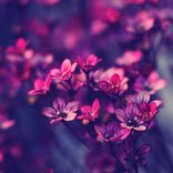 Portada para "Waiting"