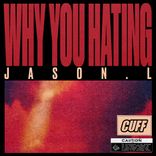 Artwork for "Why You Hating"