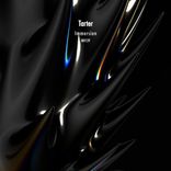 Artwork for "Immersion"