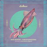 Artwork for "Forever Wandering"