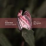 Artwork for "Dysfunctional System EP"