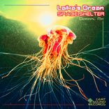 Artwork for "Space Shelter"