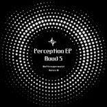 Artwork for "Perception"