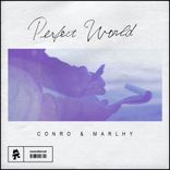 Artwork voor "Perfect World"