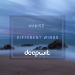 Artwork voor "Different Winds"