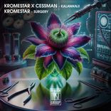 Artwork für "Kalawanji"