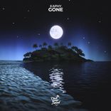 Portada para "Gone"