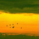 Artwork für "Missing"