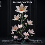 Artwork for "Colors of the Night"