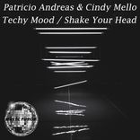Artwork for "Techy Mood / Shake Your Head"