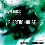 Artwork for "Sliver Music: Electro House, Vol.3"