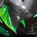 Artwork voor "Guess What ¿"