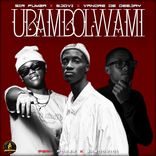 Portada para "Ubambolwami"