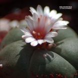 Artwork for "Letters & Numbers"