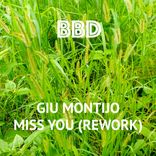 Artwork for "Miss You (Montijo, Giu Montijo Remix)"