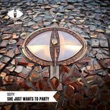 Artwork for "She Just Wants To Party"