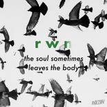 Artwork for "The Soul Sometimes Leaves The Body"